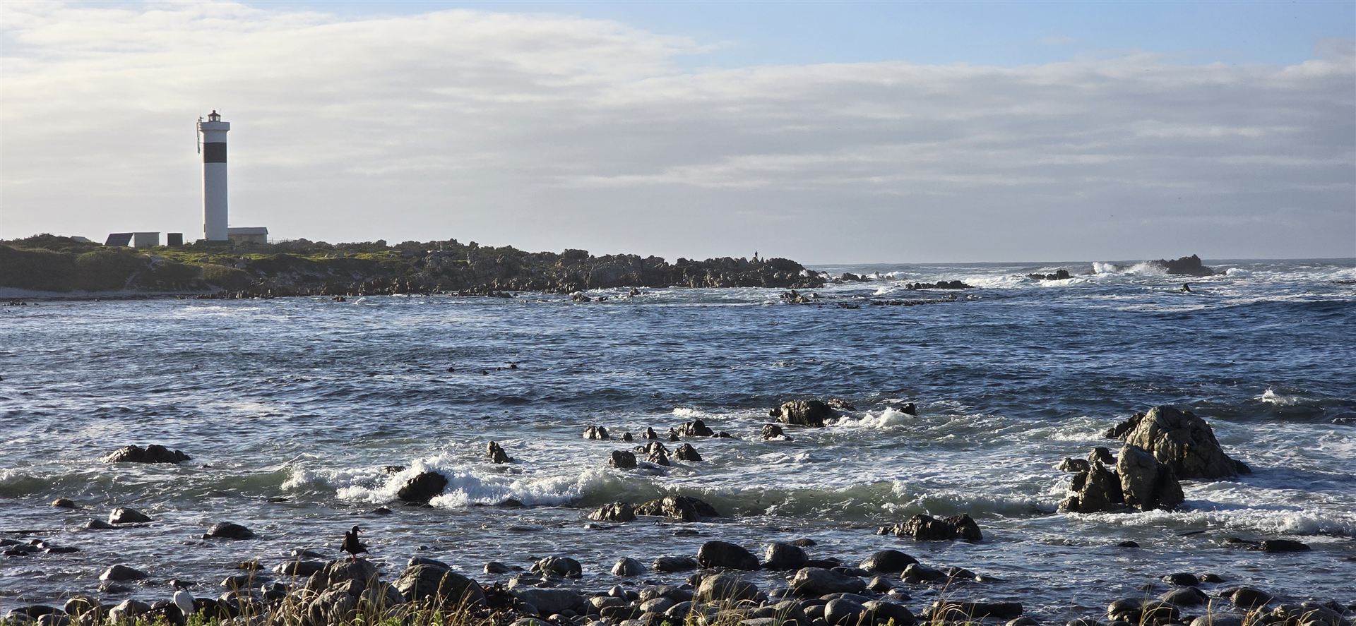 Penguin Trail Photo 1